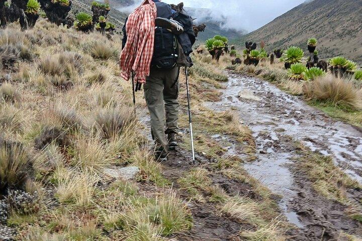 Mount Kenya 5 Day Hiking From Nairobi