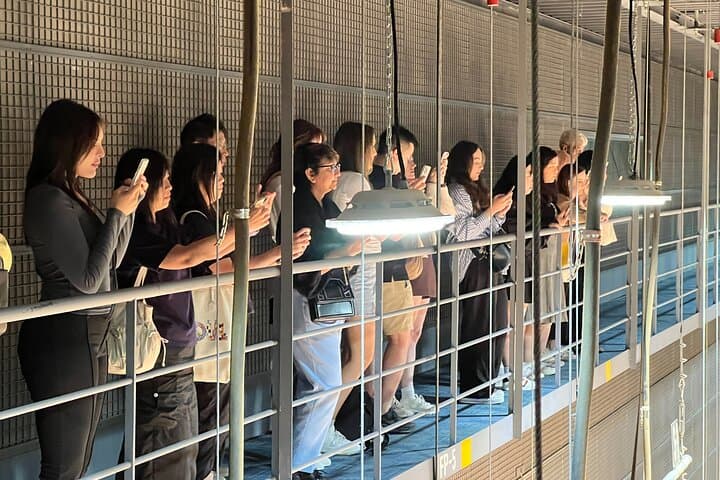 Official MBC Insider Live K-Drama Rehearsal & VIP Studio Tour