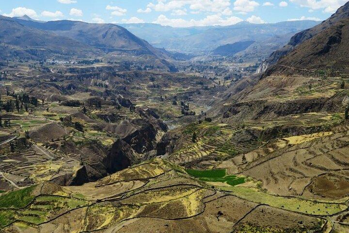 Colca Canyon Full Day Tour from Arequipa to Puno