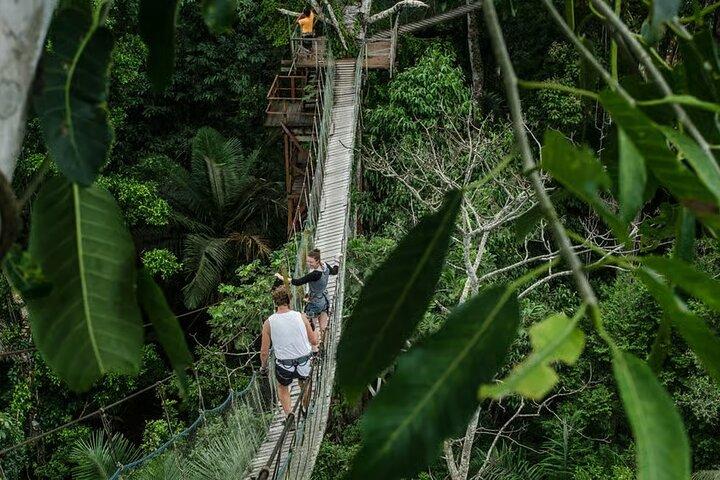Puerto Maldonado 2 Day Tour to the Peruvian Jungle of Tambopata