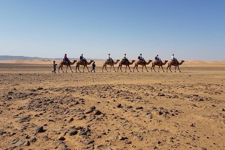 Marrakech Quad and Camel Desert Adventure