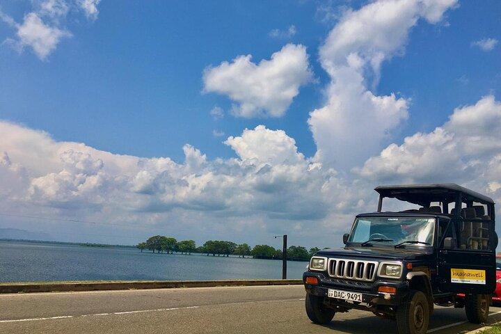 All Inclusive Safari Tour at Udawalawa National Park