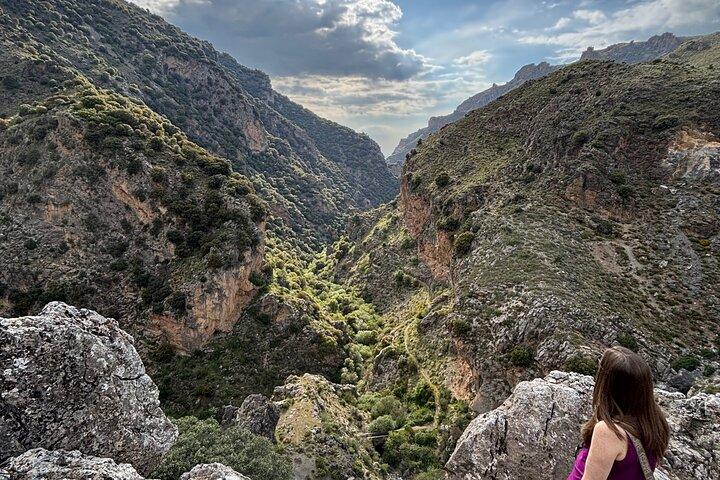 From Granada: Sierra Nevada Safari tour up to 2500 meters high