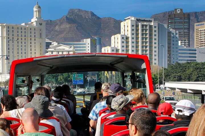 Cape Town: Hop-On Hop-Off Bus & Guided Urban Safari City Combo
