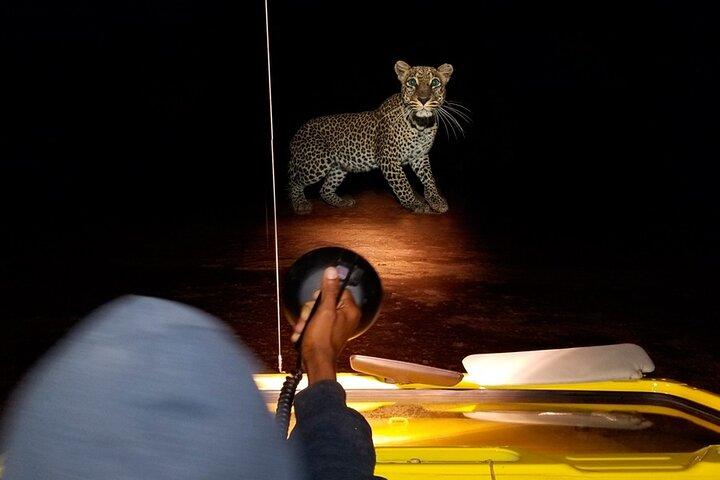 Nairobi National Park Sunset and Night Game Drive Tour
