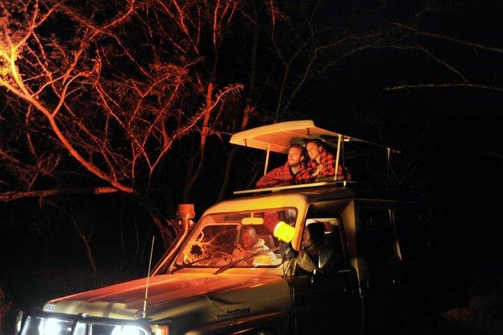 Nairobi National Park Sunset and Night Game Drive Tour