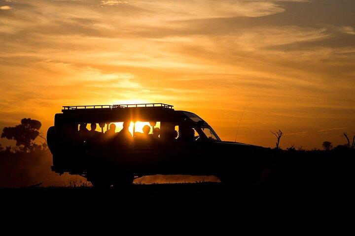 Nairobi National Park Night Game Drive