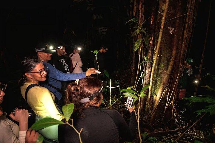 Leticia Safari 2 Days and 1 Night of Jungle and River in Floating House