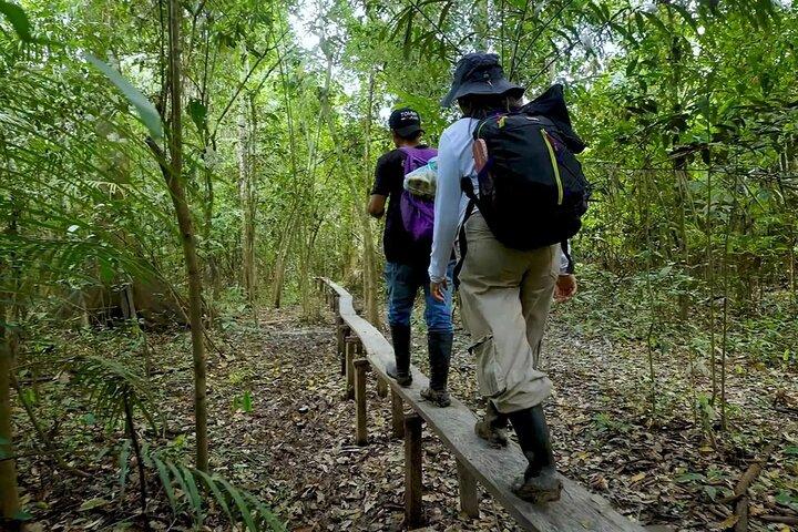 Leticia Safari 2 Days and 1 Night of Jungle and River in Floating House