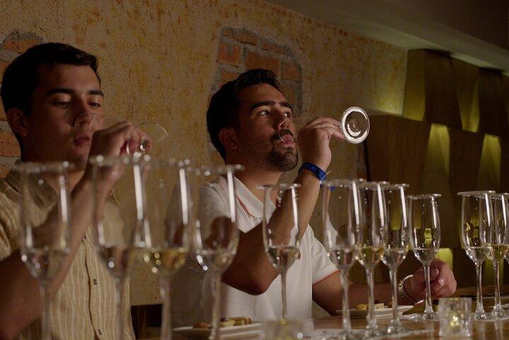 Immersive Experience & Tequila Tasting in Puerto Vallarta