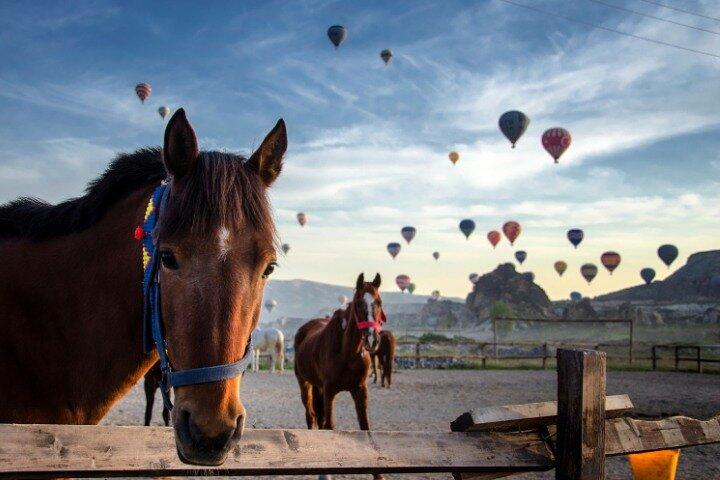 Cappadocia Horseback Riding: Sunset Valley Tour