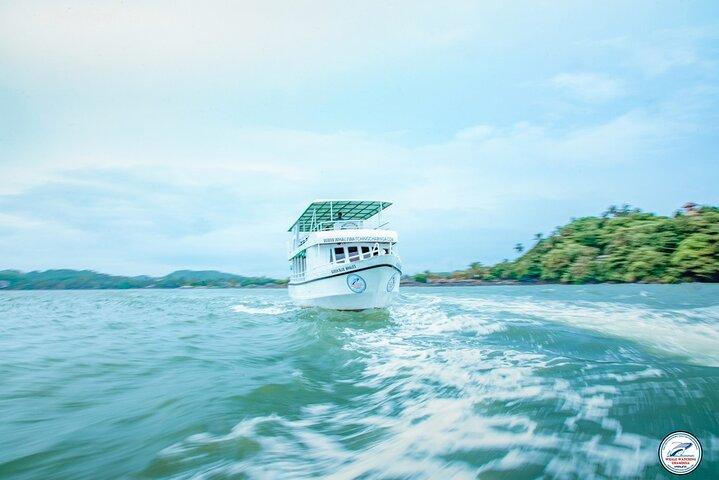 Whale Watching Mirissa Ultimate Tour in Sri Lanka with Breakfast