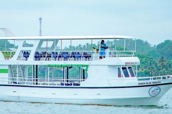 Whale Watching Mirissa Ultimate Tour in Sri Lanka with Breakfast
