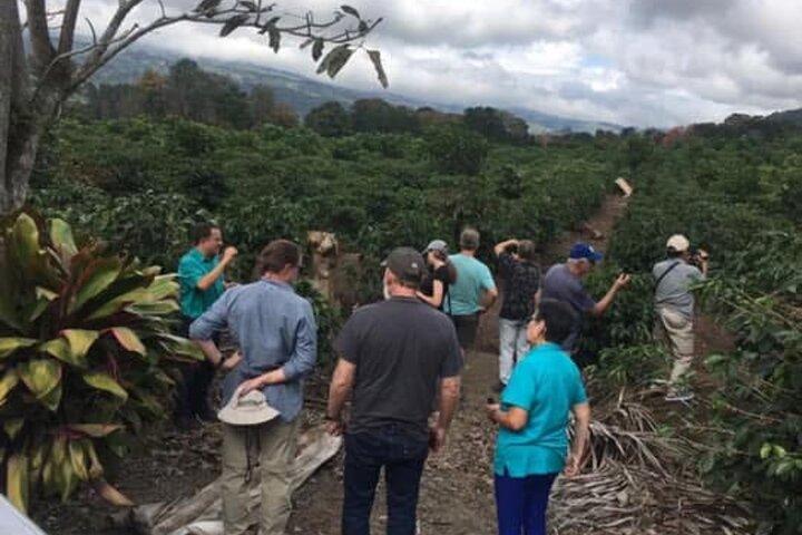 Early Volcano Poás Tour