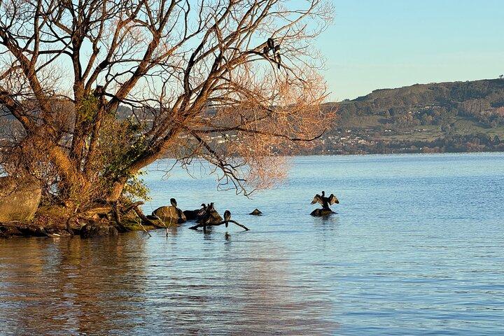 Private Lake Taupo Tour - Auckland Tour House
