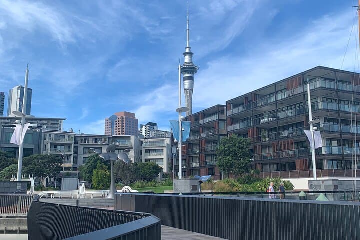 Private Auckland City Tour Including Mount Victoria