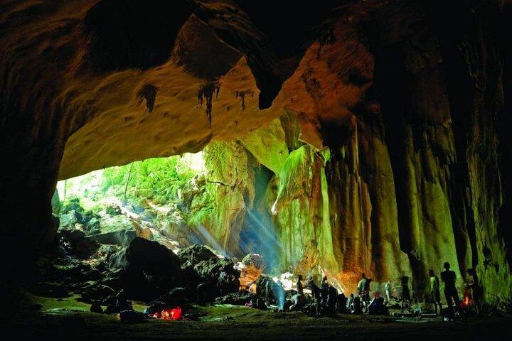 Jungle Odyssey: Unleash Your Adventure in Taman Negara!