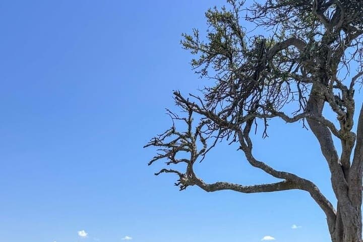 Explore the Maasai Mara and Nairobi City Tour