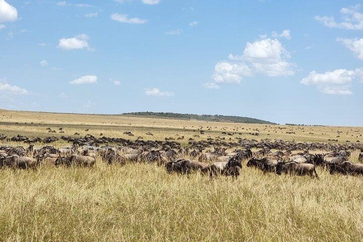 14 Days Kenya and Rwanda Safari and Trekking