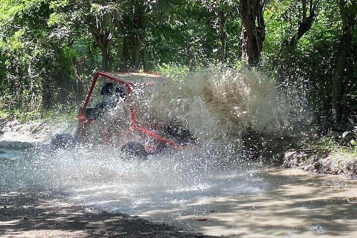 Combo Buggy & Monkeys & Plantation Tour Puerto Plata Adventure