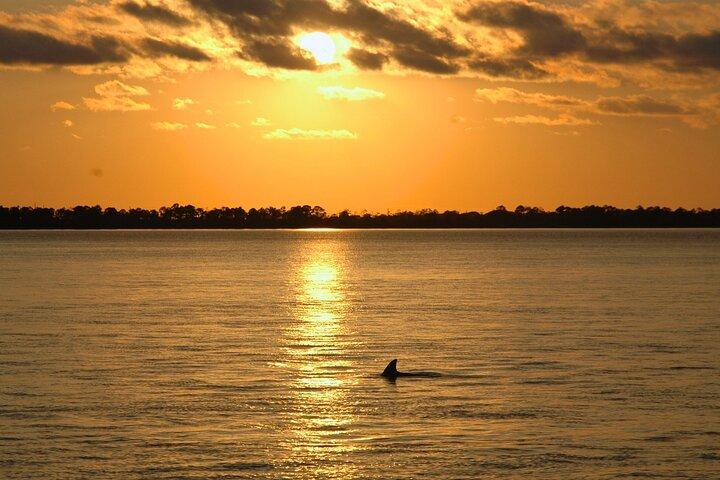 Sunset Dolphin Cruise in Destin