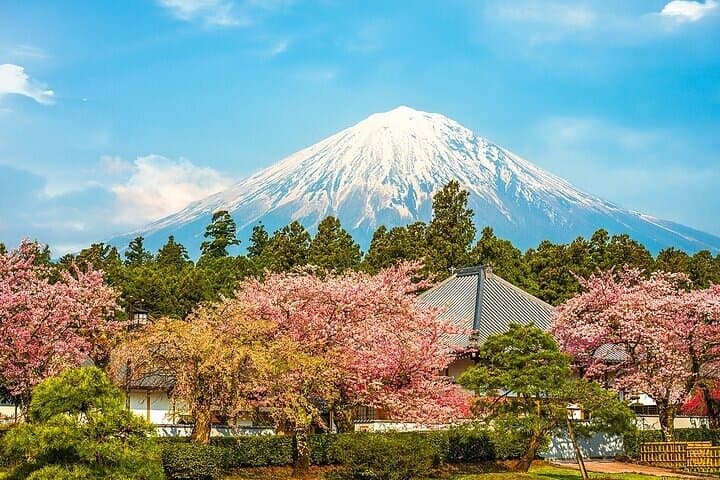 Mount Fuji 5th Station, Arakurayama, Oshino Hakkai and Hot Spring