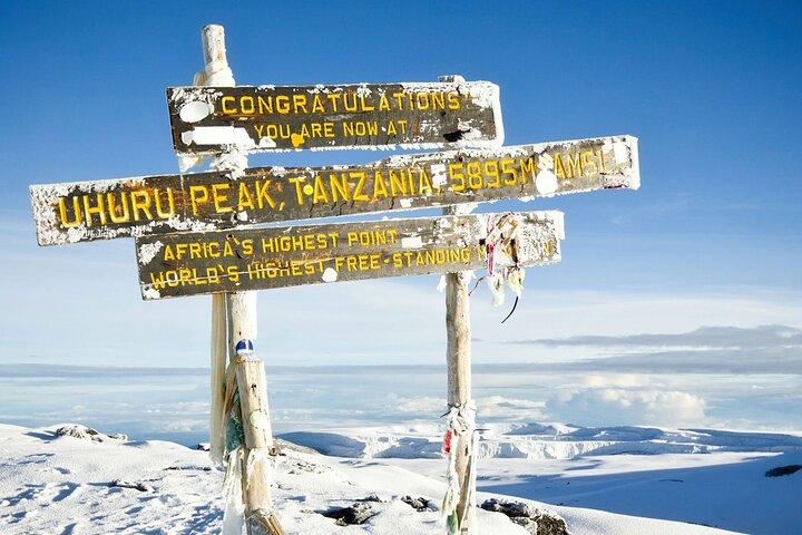 7 Days Mt Kilimanjaro Machame Route