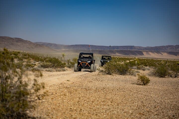 Guided Mojave Desert Off Road RZR Adventure