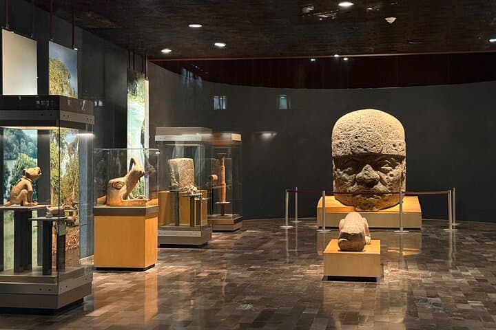 National Museum of Anthropology with a face-to-face guide.