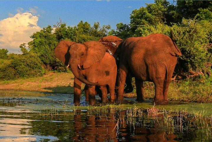 Kruger National Park 2 Day Safari from Johannesburg