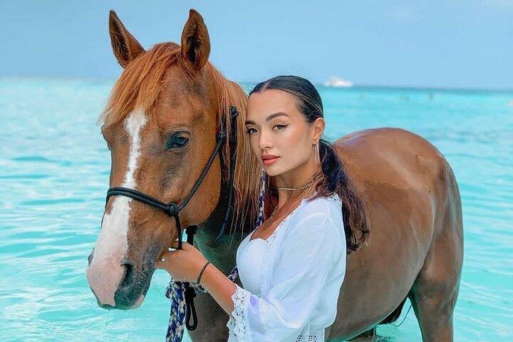 Swimming with Horses Experience on the Beach in Zanzibar