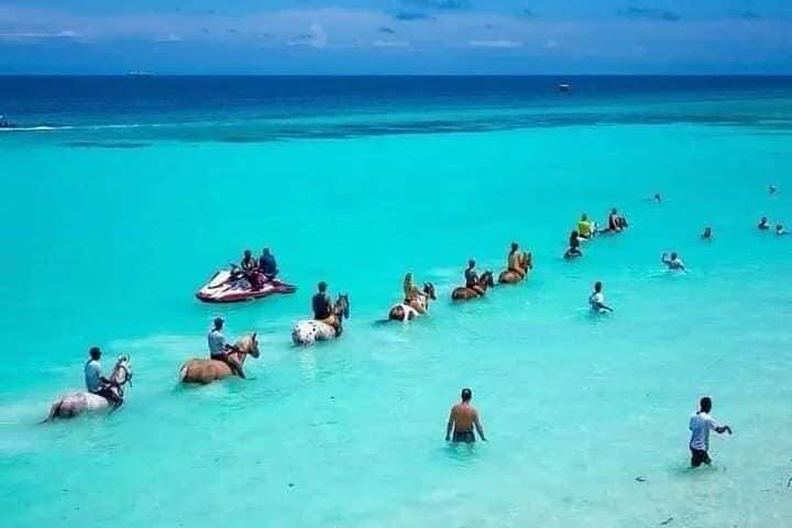 Zanzibar Horseback Riding in the Sea Beach with Guide