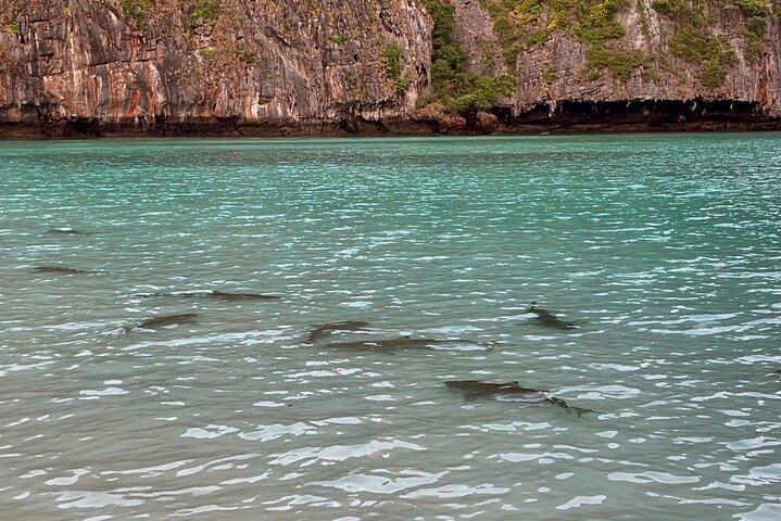 From Phi Phi: Sunrise & Beat The Crowds to Maya Bay by Speedboat