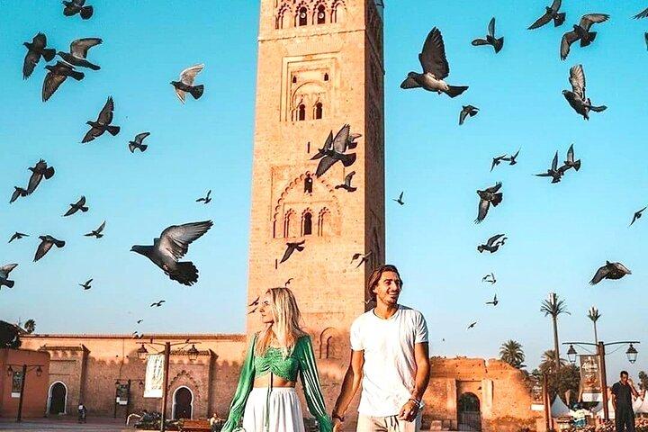 Majestic Marrakech: Jardin Anima, Ménara & Charming Calèche