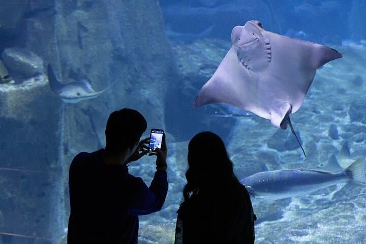 Istanbul Aquarium and Shopping Tour with Hotel Transfers