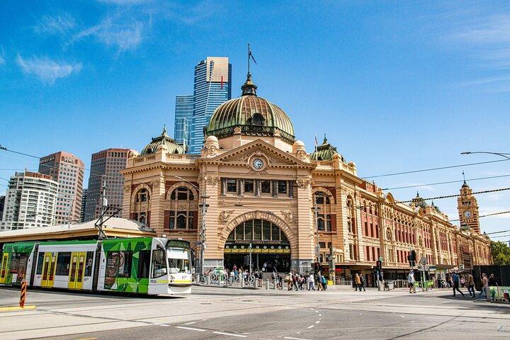 Melbourne Sightseeing Tour in Small Group