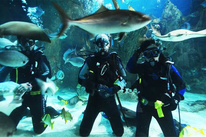 Istanbul Aquarium and Shopping Tour with Hotel Transfers