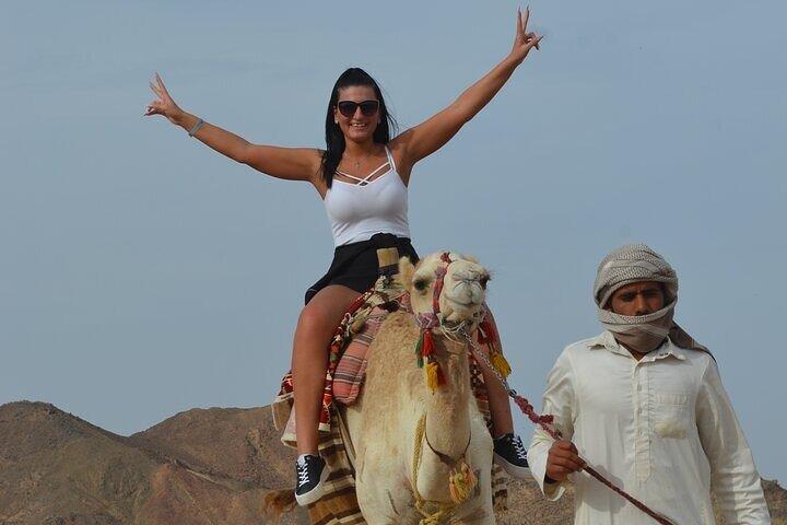 Super Safari Quad Bike Jeep Safari Buggy and Dinner - Hurghada