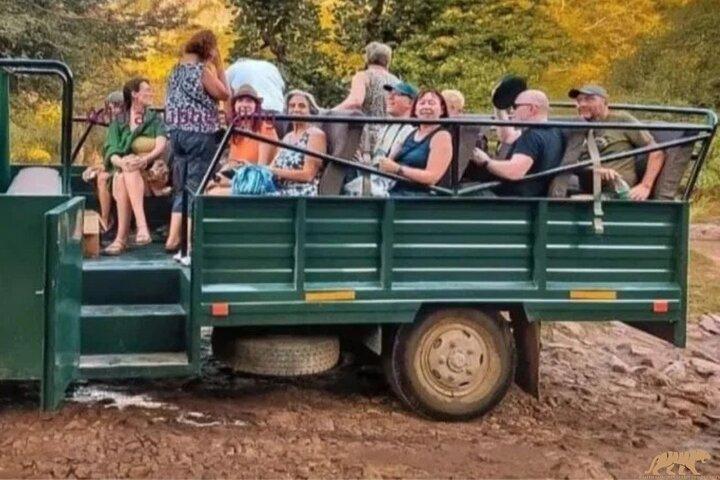 Tiger Safari in Ranthambore national park | Canter Options