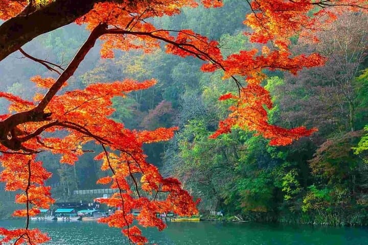 Nara Deer Park, Fushimi Inari & Arashiyama Bamboo Forest Day Tour