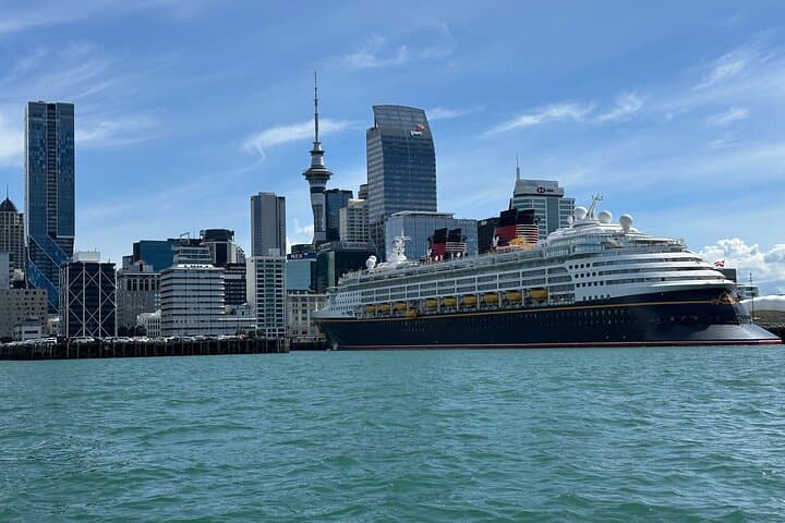 Auckland City Highlights Tour by Car or Van