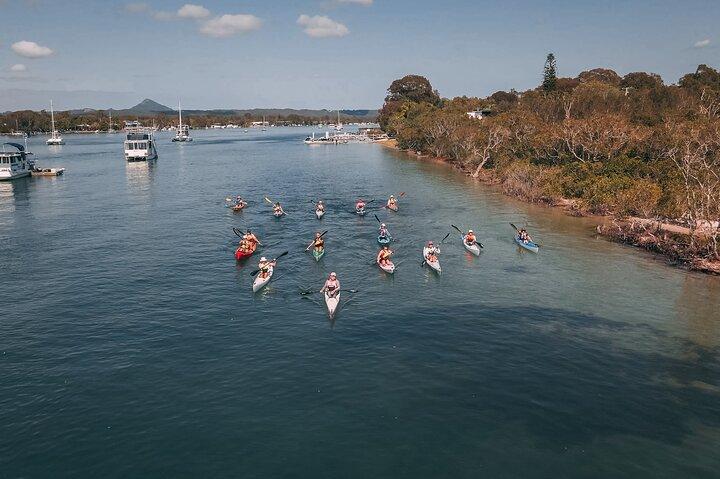 Mangroves and Mansions Guided Kayak Tour on the Noosa River