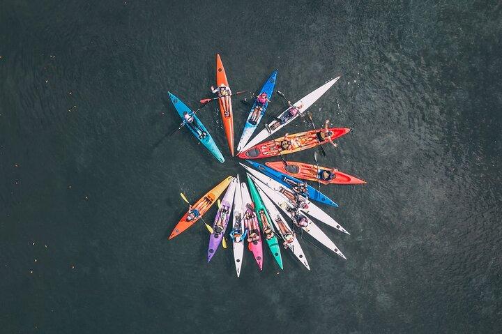 Mangroves and Mansions Guided Kayak Tour on the Noosa River