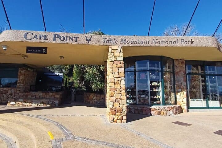 Half day Cape Point Sightseeing Tour with Penguins from Cape Town