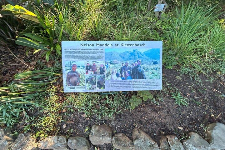 Half Day Table Mountain & Kirstenbosch Gardens