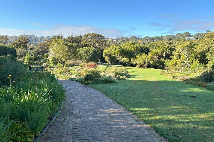 Half Day Table Mountain & Kirstenbosch Gardens