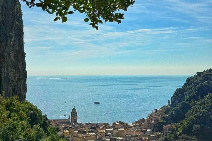 Amalfi: Organic Lemon Tour + Limoncello + Honey + Wine Tastings