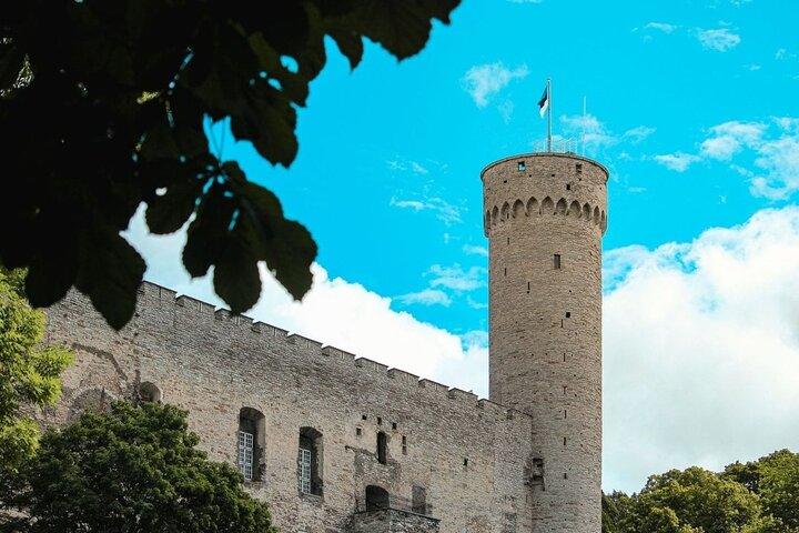 Tallinn Premium Small-Group Tour for Cruise Guests with Free Time