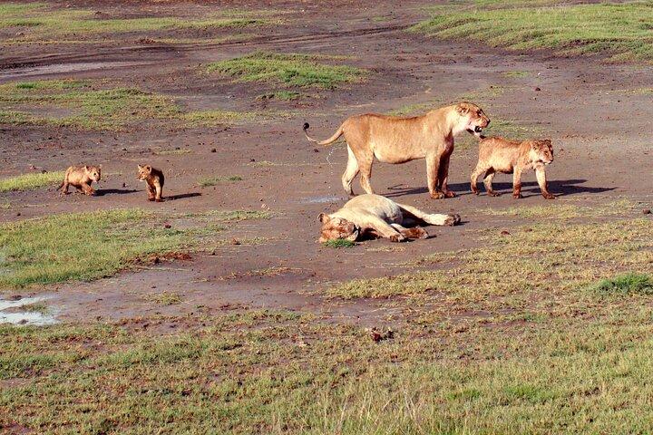7-Day Bush and Beach Safari Mid-Range
