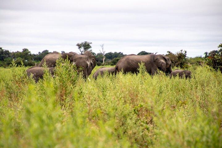 3 Day Mokoro Safari Adventure in the Okavango Delta